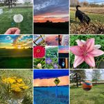 Addison Carlson - @addison.carlson.photography - Instagram
