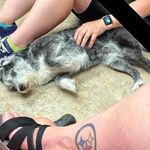 Addison Carson - @addisoncarson4234 - Instagram