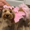 Addi - @addison.chapman3 - TikTok