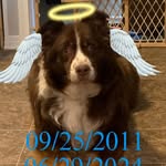 Addison Chapman - @official_f.o.s_ - Instagram