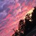 Addison Cleary - Facebook