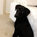 Addison - @addisoncochran06 - Instagram