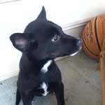 Addison Cochran - @addisoncochran6 - Instagram
