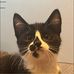 Addison Cochran - Facebook
