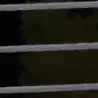 therealaddisoncouch - @therealaddisoncouch - TikTok
