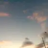Addison Cox - @addison.cox7 - TikTok