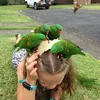 Addison Cox - @addi.mia - TikTok