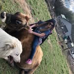 Annalynn-june Addison Craft - @annalynnjuneaddison - Instagram