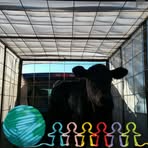 Addison Crippen - Facebook