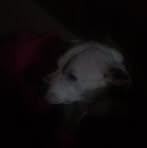 Addison Crippen - Facebook