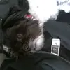 addisoncurran64 - @addisoncurran64 - TikTok