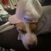 Addison Dailey - Facebook