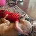 Addison Dailey - Facebook