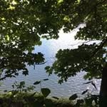 Addison Davidson - @davidsonaddison - Instagram