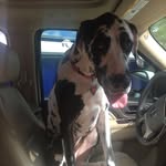 Addison Dinkins - @sleeper_of_the_world - Instagram
