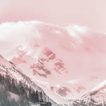 Addison Dixon - @addisondixon30 - Instagram