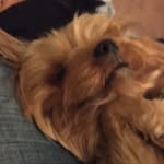 AddisonDodd498 - @addisondodd498 - Instagram