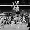 Addison Doyle - @addison.doylevball - TikTok
