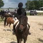 Addison Edge - @addison_equine - Instagram
