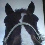 Addison Fair - @addison.fair - Instagram