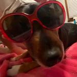 Addison Claire foley - @addisonclairefoley - Instagram