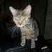 Addison Ford - Facebook