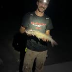Addison Fulton - Facebook