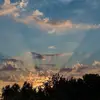 Addison Garrett - @addison.garrett5 - TikTok