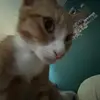 notaddisongates - @user4411769146751 - TikTok