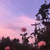 addisongoff09 - @weird_sisters1213 - TikTok
