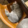 Addisongoode - @addisongoode - TikTok