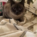 Addison Graff - @graffaddison - Instagram
