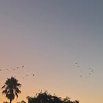 Addison Grant - @addisongrant814 - Instagram
