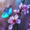 Addison Grey - @addison.grey48 - TikTok
