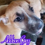 Addison Grey - @addison_grey.21 - Instagram