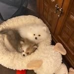 Addison Griffith - @celtichandyman.2000 - Instagram
