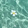 ᴀᴅᴅɪᴇ - @addisongruber - TikTok