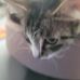 Addyson Hager - Facebook