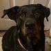 Addison Haley - Facebook