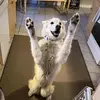 Addison Hall - @xeno122112 - TikTok