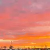 addisonchatfield - @addison.mchat - TikTok