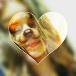 Addison Hess - @faith_backup_acc - Instagram