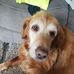 Addison Hiner - Facebook