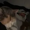Addison - @_addison.howard_ - TikTok