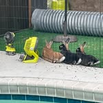 Addison Hubbard - @ponyboy1978bradentuckey - Instagram