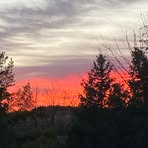 Addison Huber - Facebook