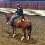 Addison Hull - @addison_hull355 - Instagram