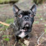 Addison Inman Jr - @darth_addisius - Instagram
