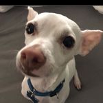 Addison Kirby - @addisonkirby2 - Instagram