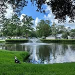 Addison Lane Apartments - @liveaddisonlane - Instagram